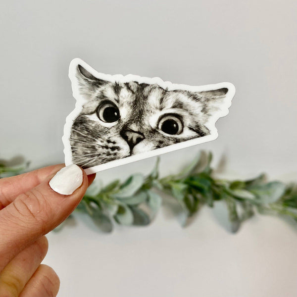 PEEKING CAT STICKERS