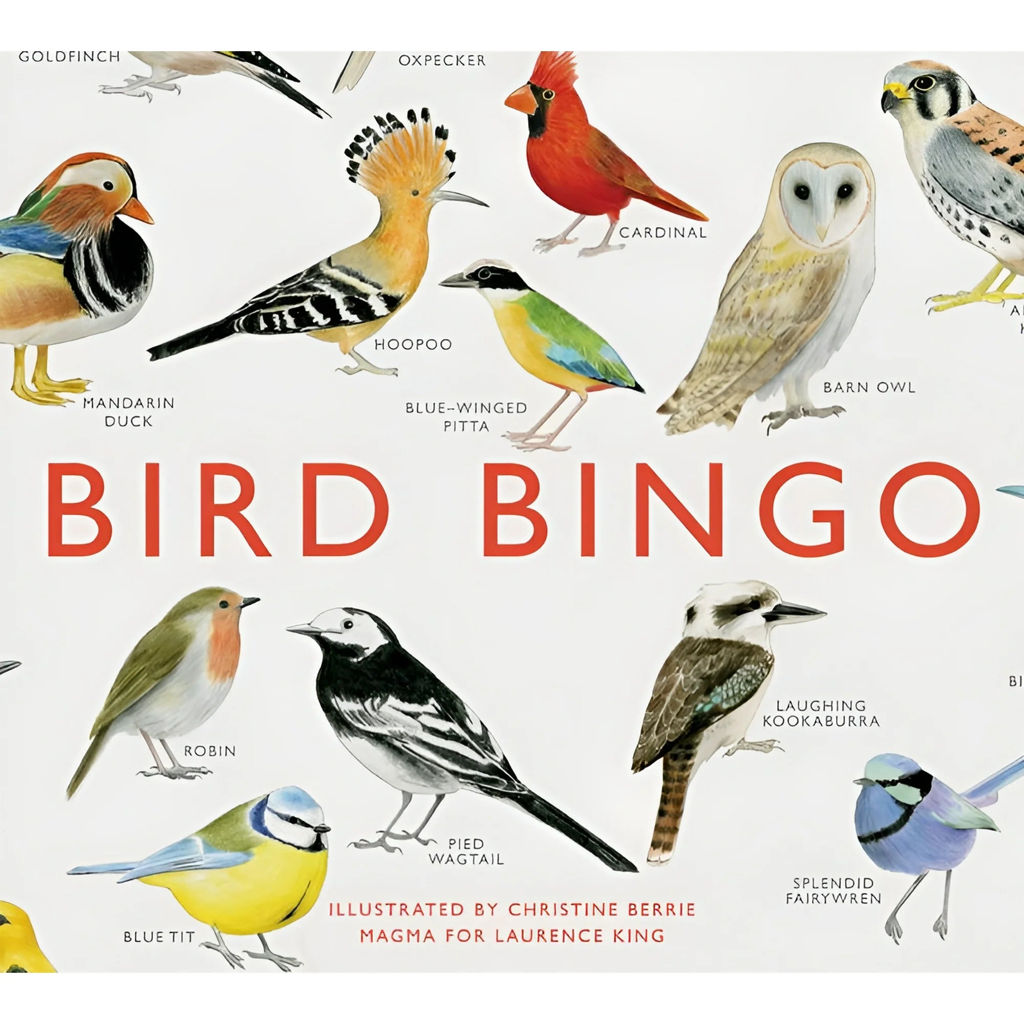 Bird Bingo book cover with illustrations of various birds and their names.