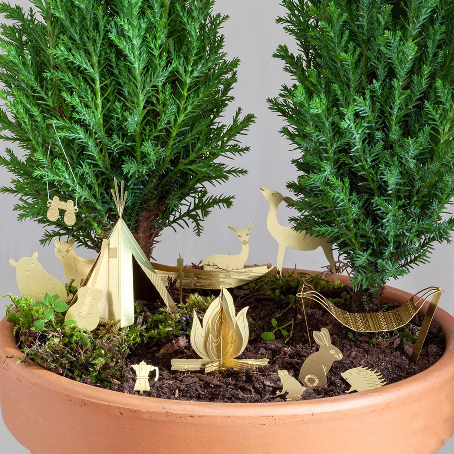 TINY CAMPING FOR YOUR PLANTS