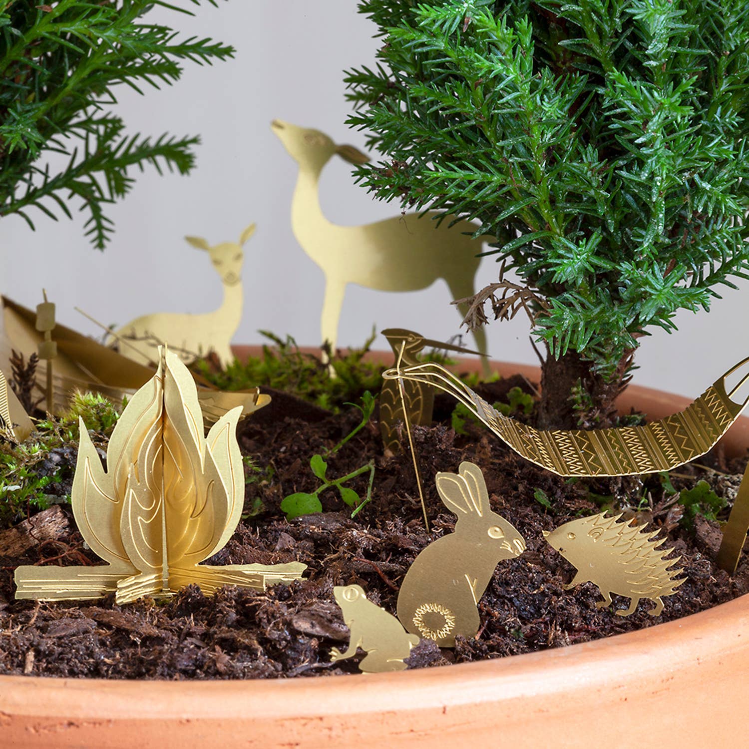 TINY CAMPING FOR YOUR PLANTS