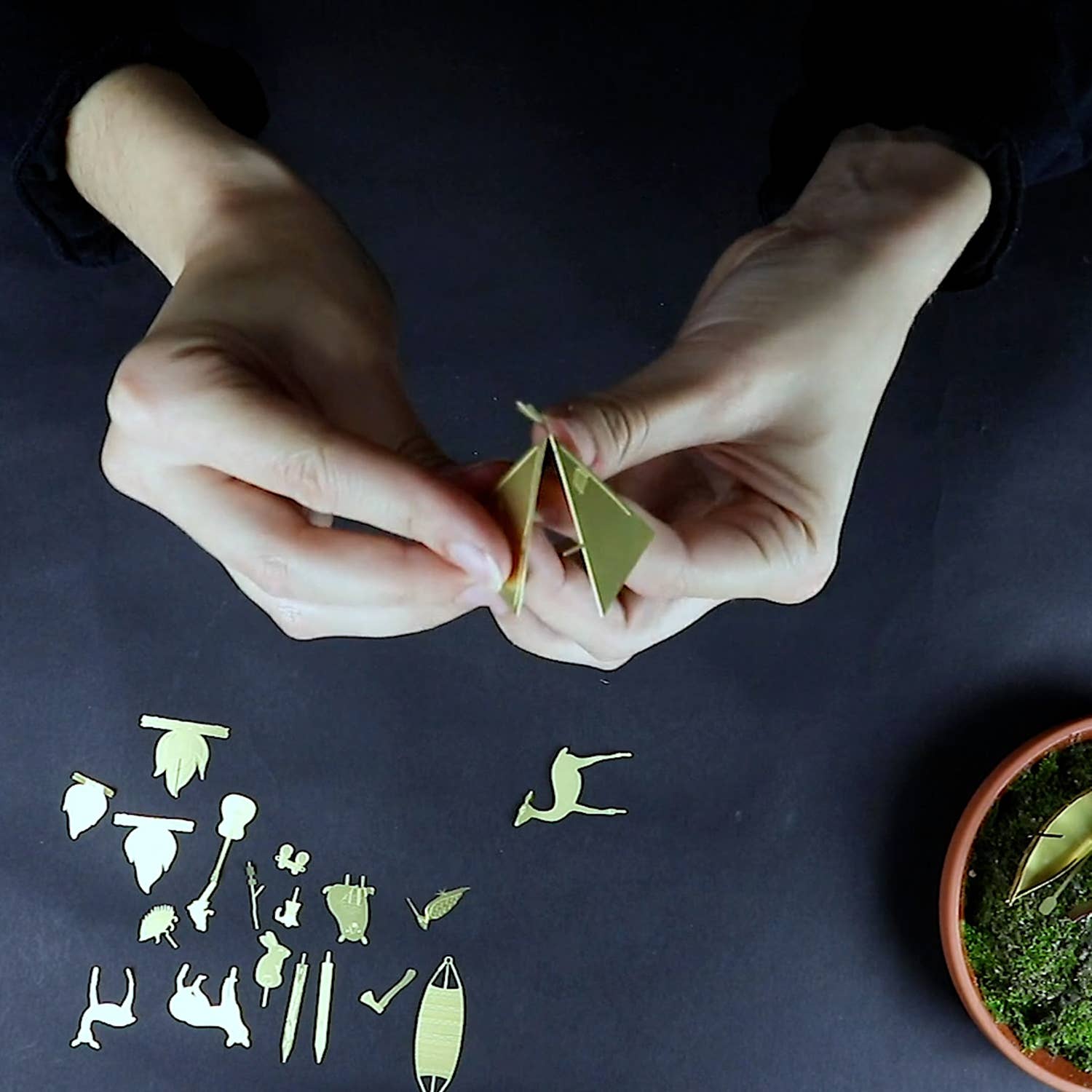TINY CAMPING FOR YOUR PLANTS
