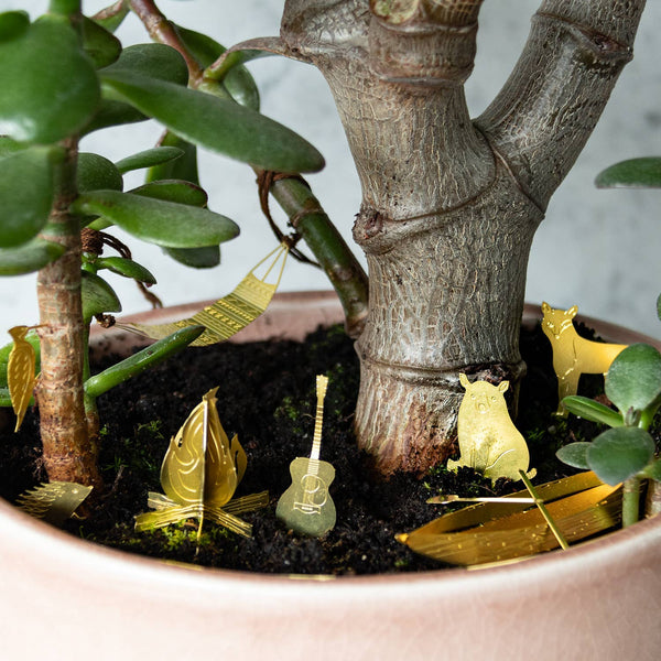 TINY CAMPING FOR YOUR PLANTS