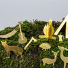 TINY CAMPING FOR YOUR PLANTS