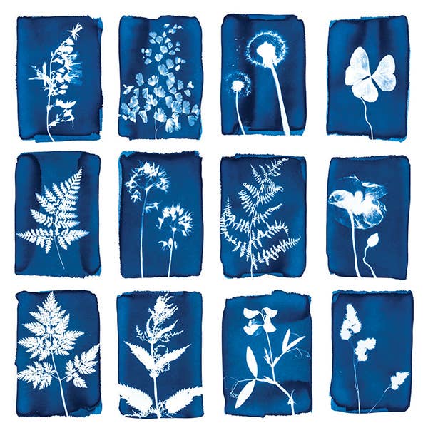 PACK OF 12 CYANOTYPE GREETING CARDS
