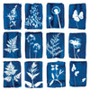 PACK OF 12 CYANOTYPE GREETING CARDS