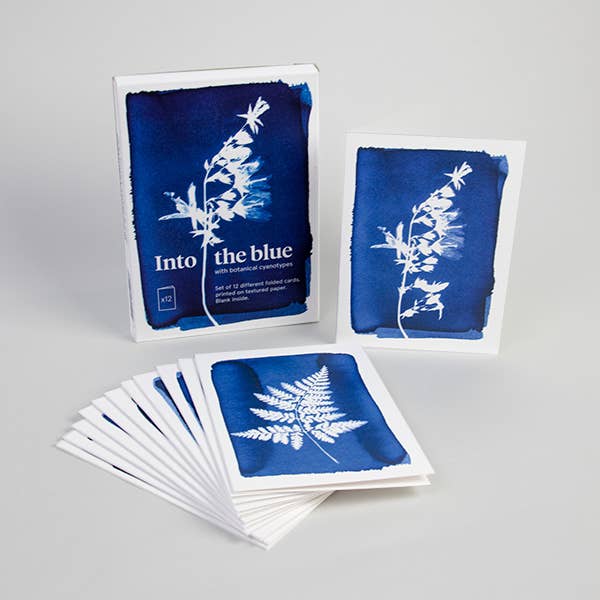PACK OF 12 CYANOTYPE GREETING CARDS