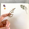 PRESSED FLOWERS STICKER SHEET