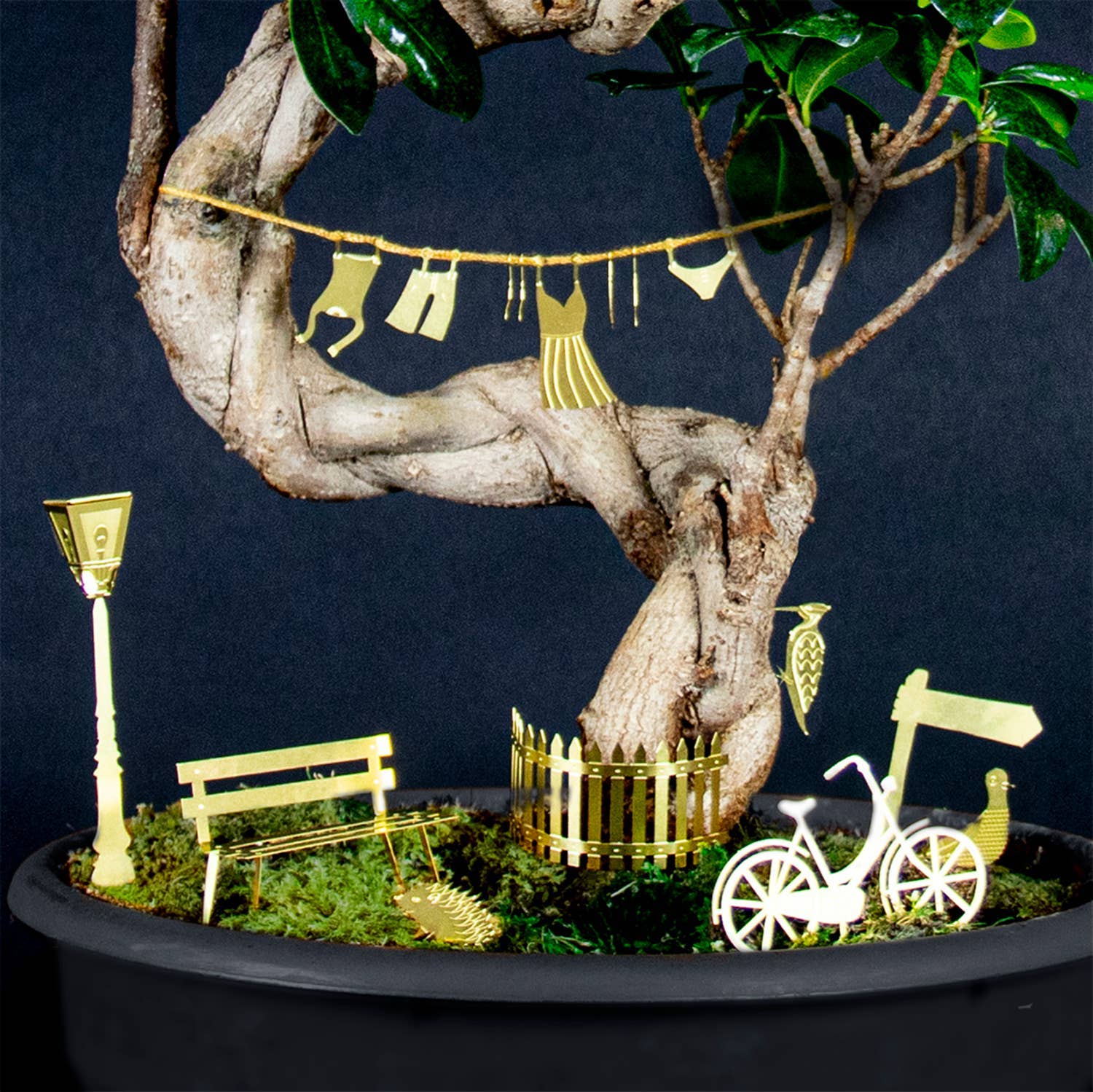 TINY BIKE ADVENTURE FOR YOUR PLANTS