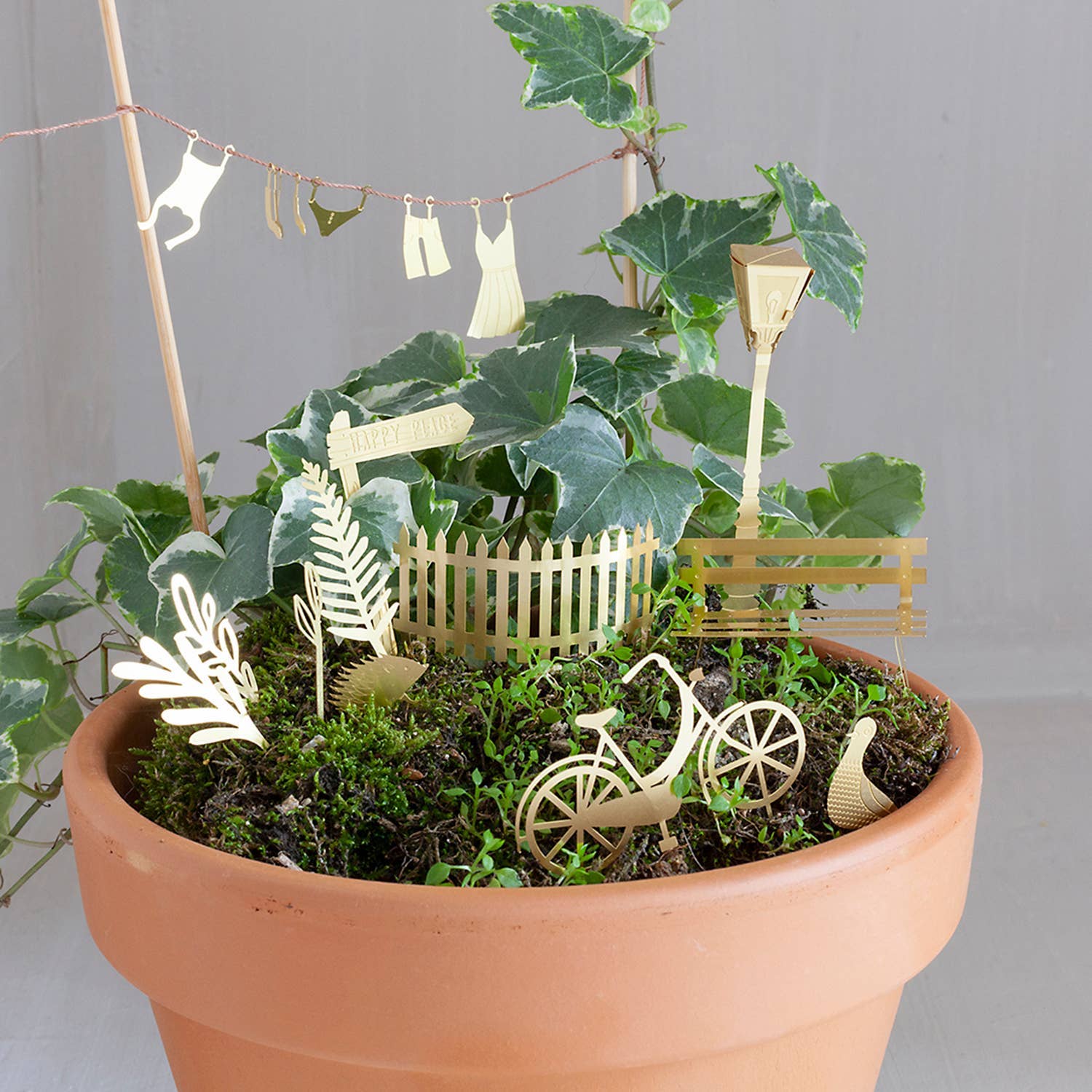 TINY BIKE ADVENTURE FOR YOUR PLANTS