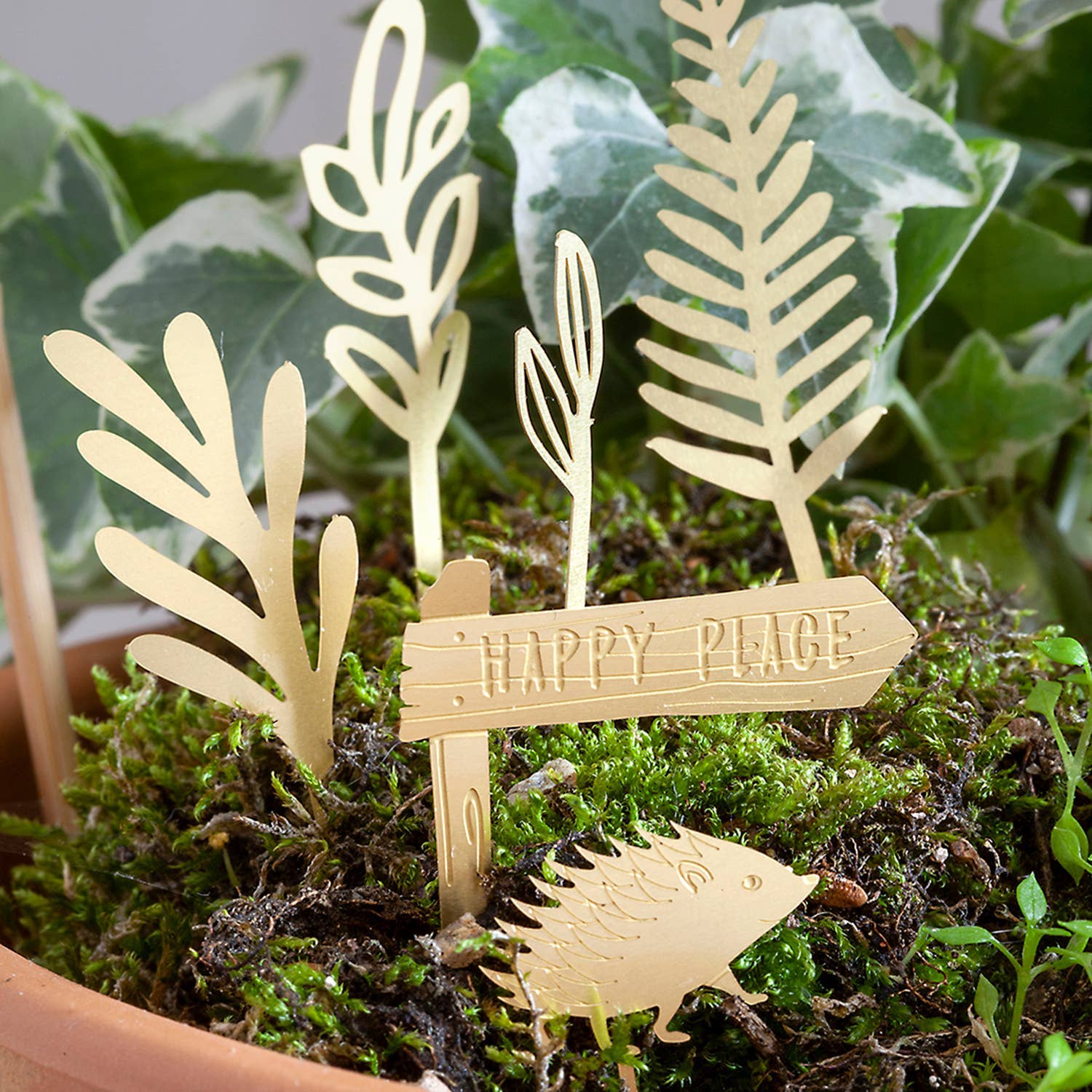 TINY BIKE ADVENTURE FOR YOUR PLANTS