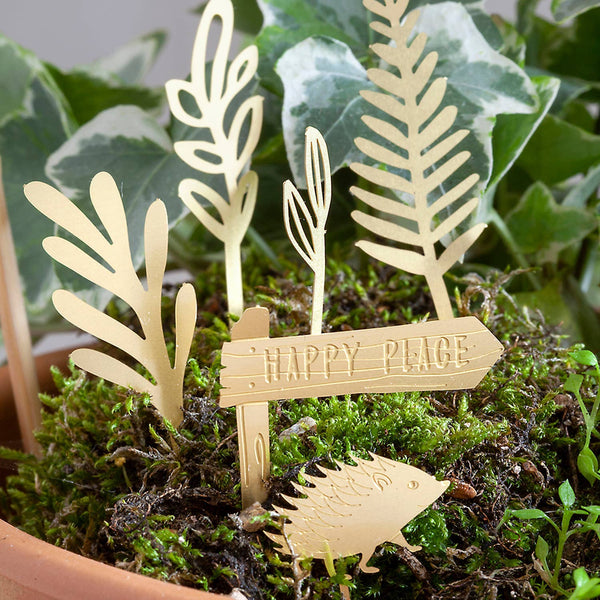 TINY BIKE ADVENTURE FOR YOUR PLANTS
