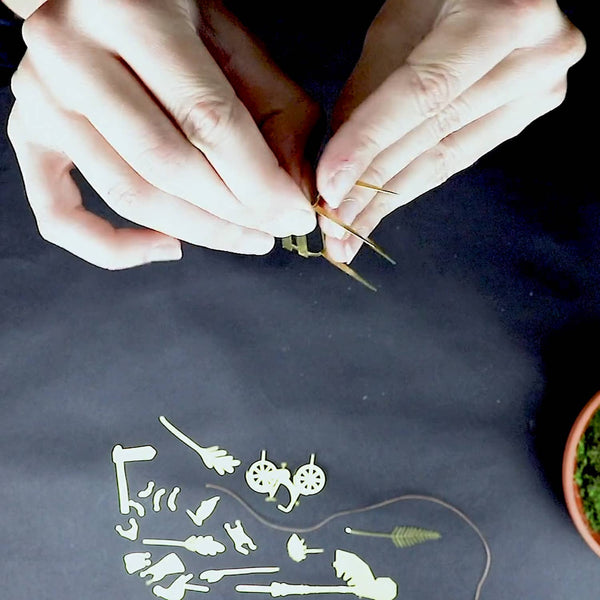 TINY BIKE ADVENTURE FOR YOUR PLANTS