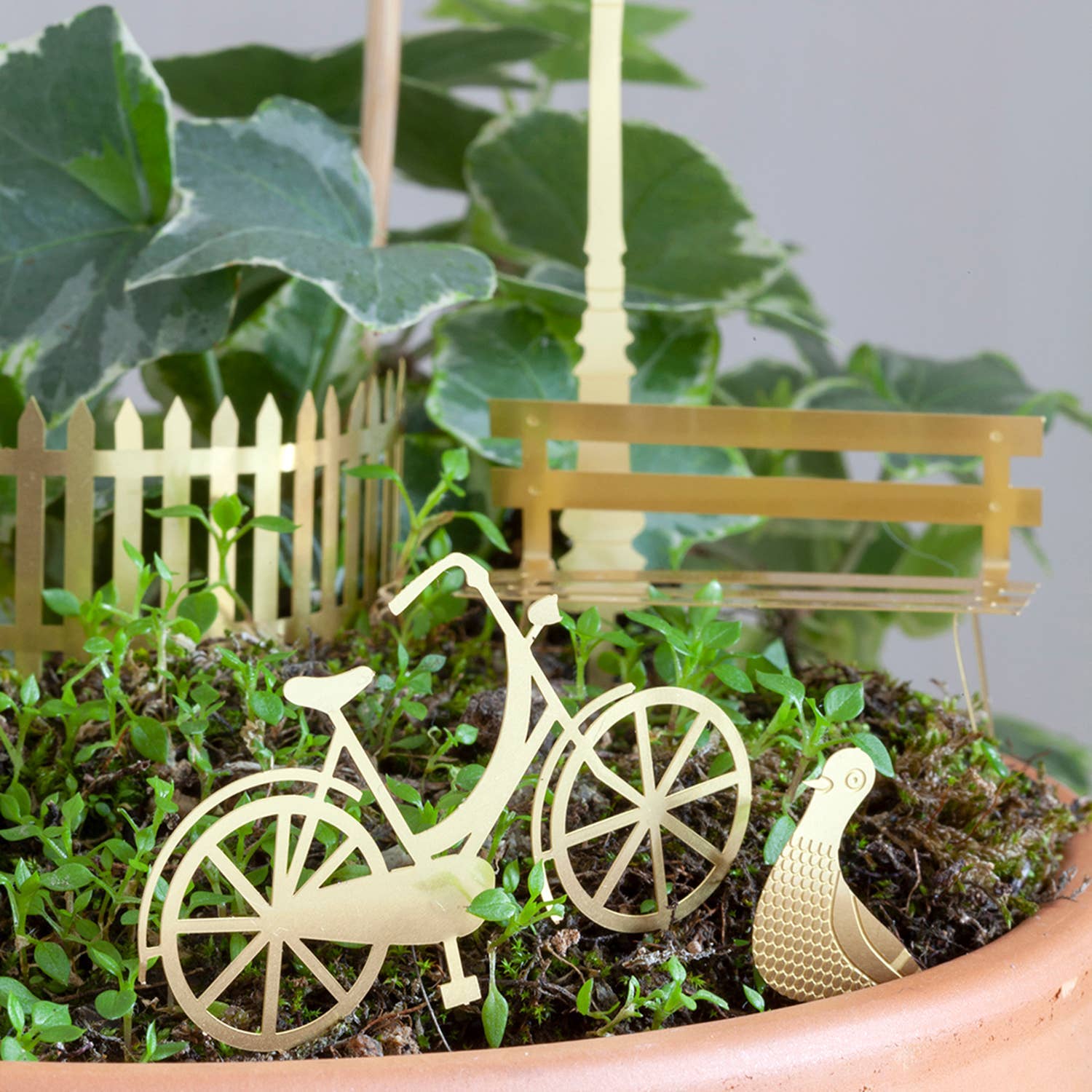 TINY BIKE ADVENTURE FOR YOUR PLANTS