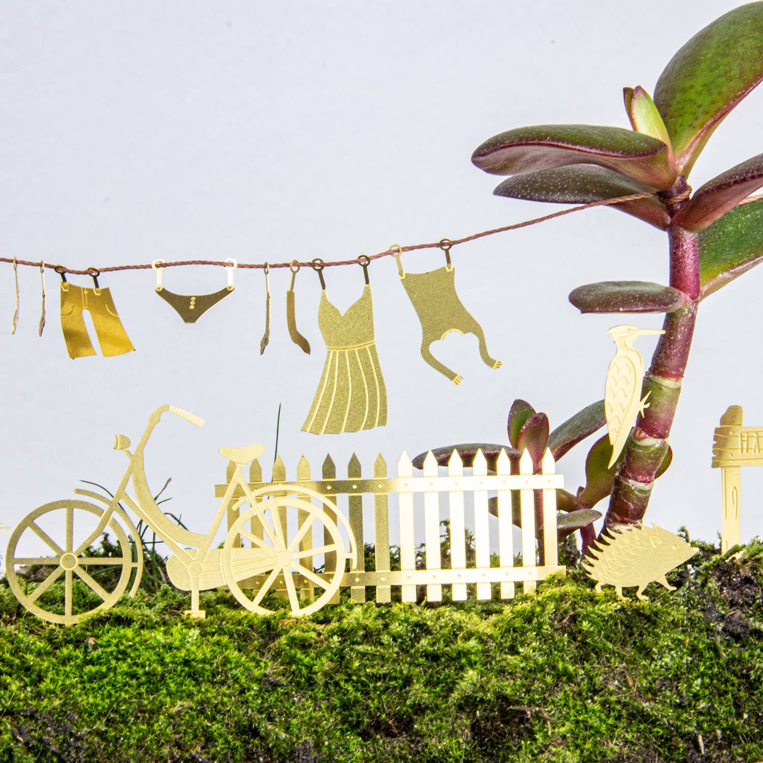 TINY BIKE ADVENTURE FOR YOUR PLANTS