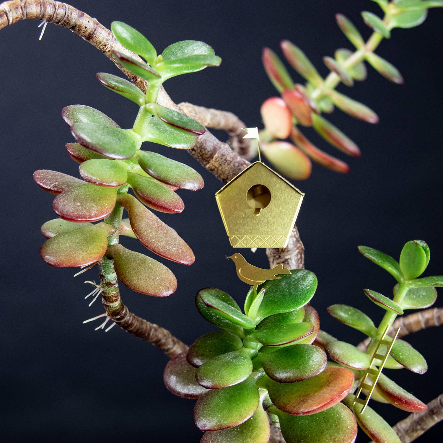 TINY BIRDHOUSE FOR YOUR PLANTS
