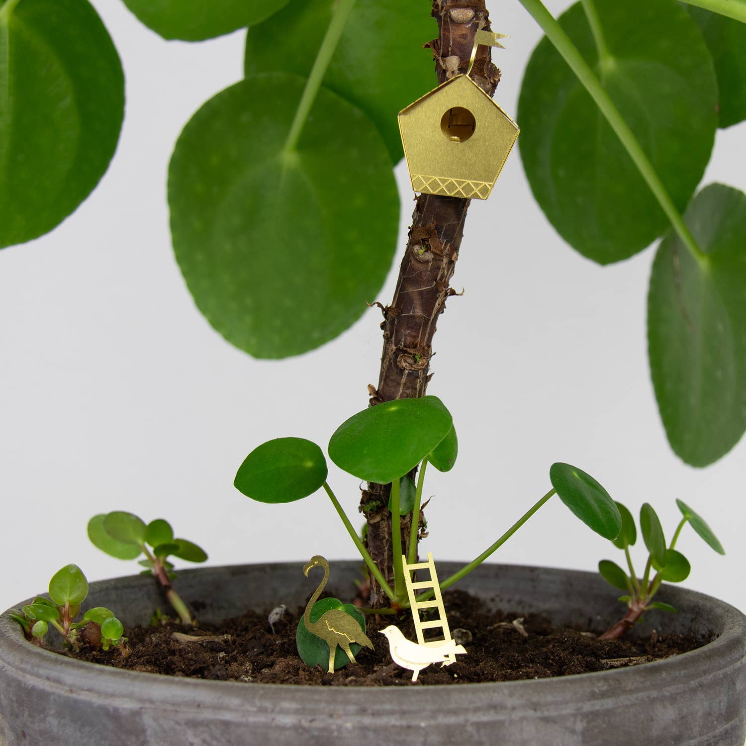 TINY BIRDHOUSE FOR YOUR PLANTS