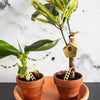 TINY BIRDHOUSE FOR YOUR PLANTS