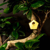 TINY BIRDHOUSE FOR YOUR PLANTS