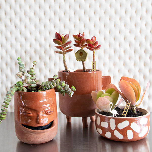 TINY BIRDHOUSE FOR YOUR PLANTS
