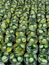BREAD AND BUTTER PICKLES 16OZ
