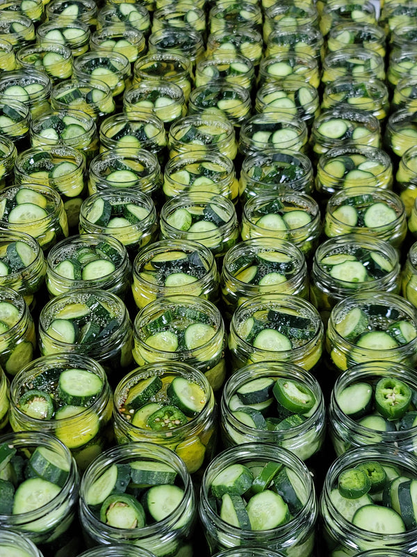 BREAD AND BUTTER PICKLES 16OZ