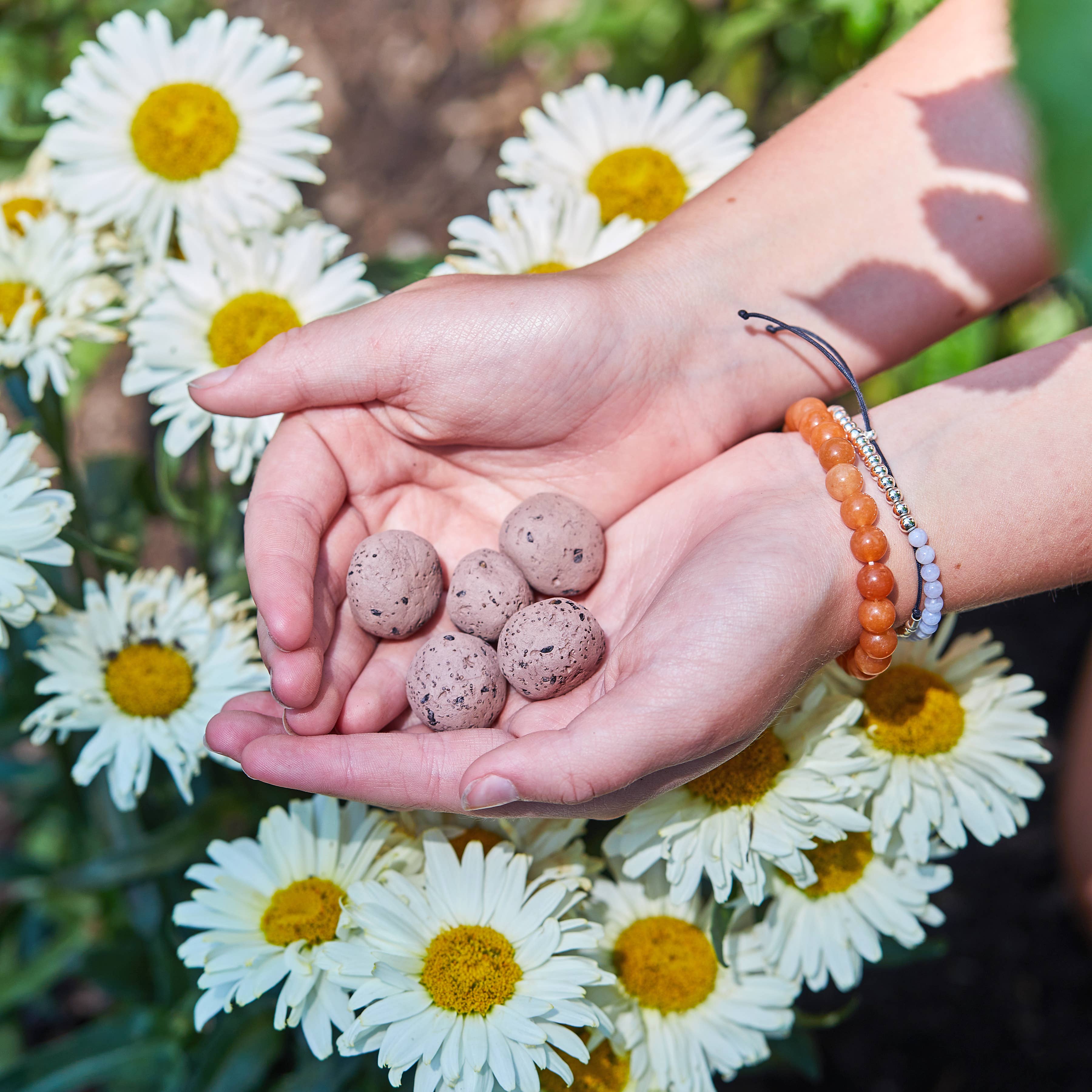 BRIGHT SIDE SEED BALLS: GROW LOVE