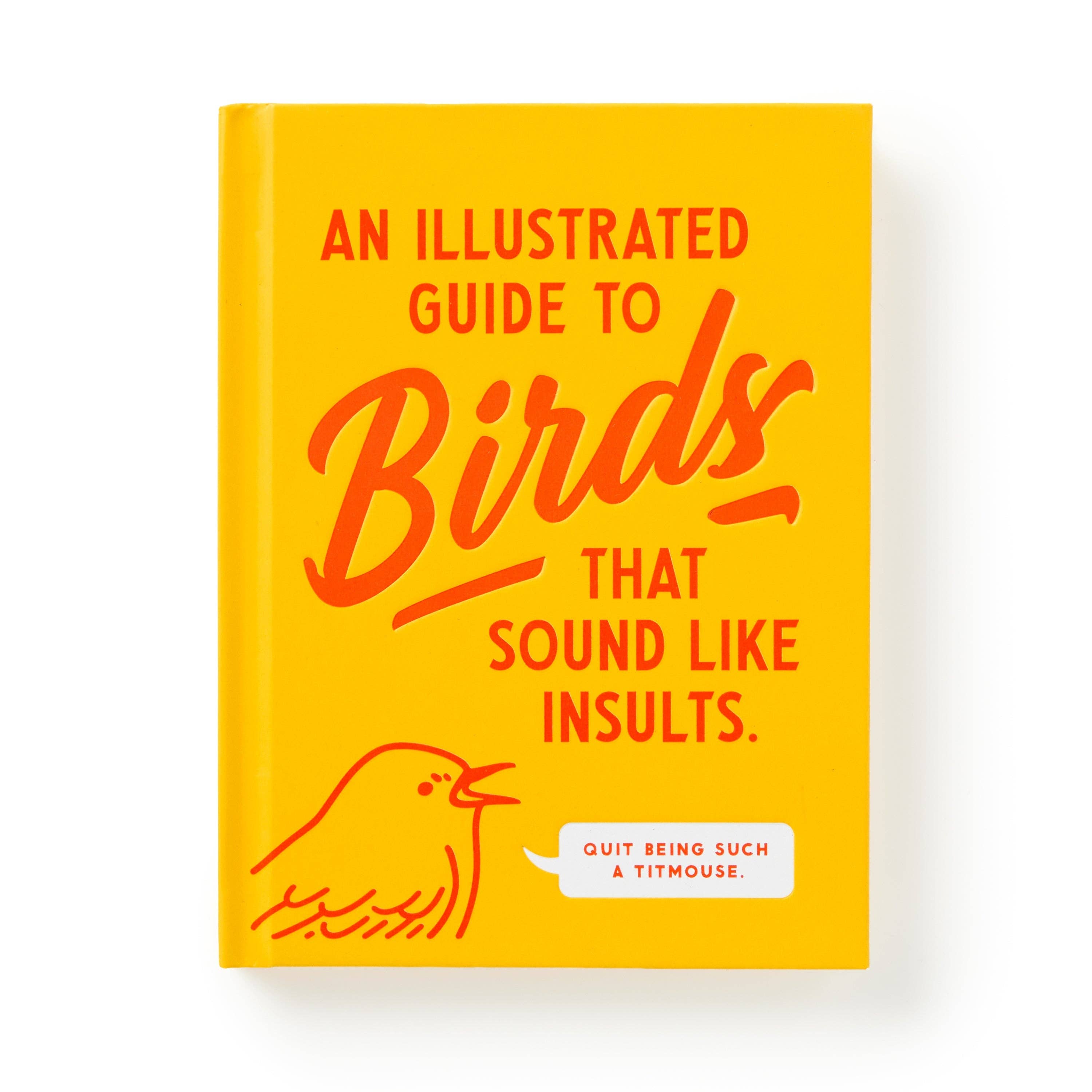 BRASS MONKEY ILLUSTRATED GUIDE TO BIRDS BOOK