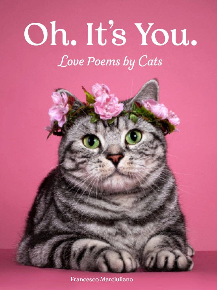OH. IT'S YOU.