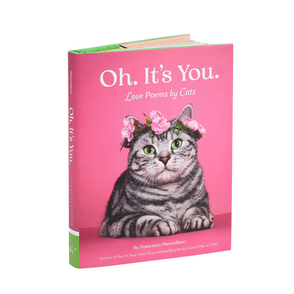 OH. IT'S YOU.