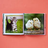 CUTE ANIMALS FOR HARD TIMES