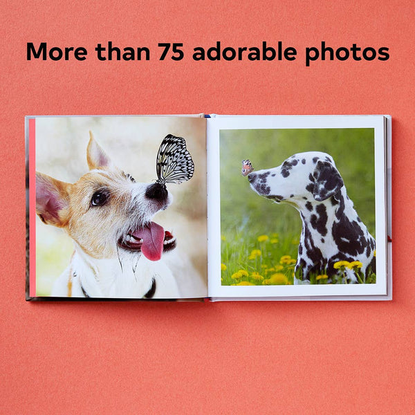 CUTE ANIMALS FOR HARD TIMES