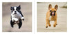 CUTE ANIMALS FOR HARD TIMES