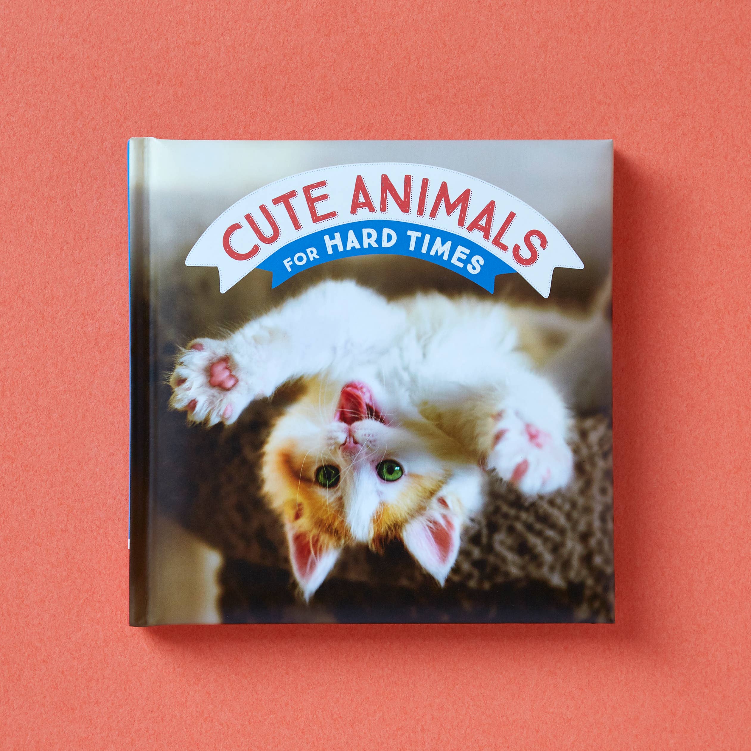 CUTE ANIMALS FOR HARD TIMES