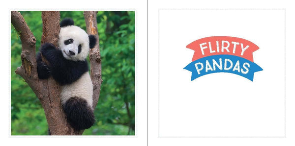 CUTE ANIMALS FOR HARD TIMES