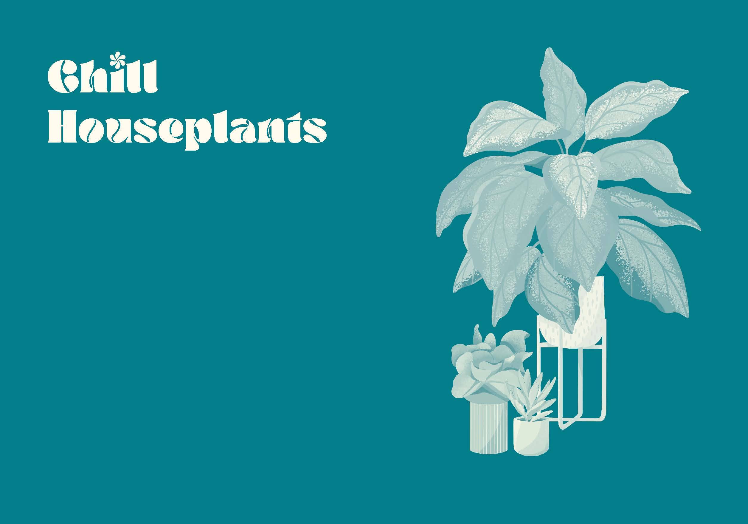 GREEN DUMB GUIDE TO HOUSEPLANTS