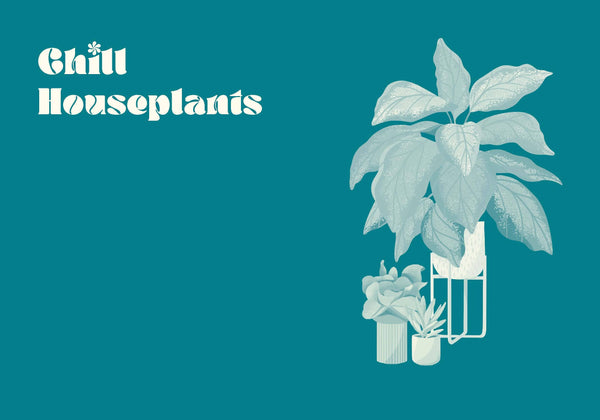 GREEN DUMB GUIDE TO HOUSEPLANTS