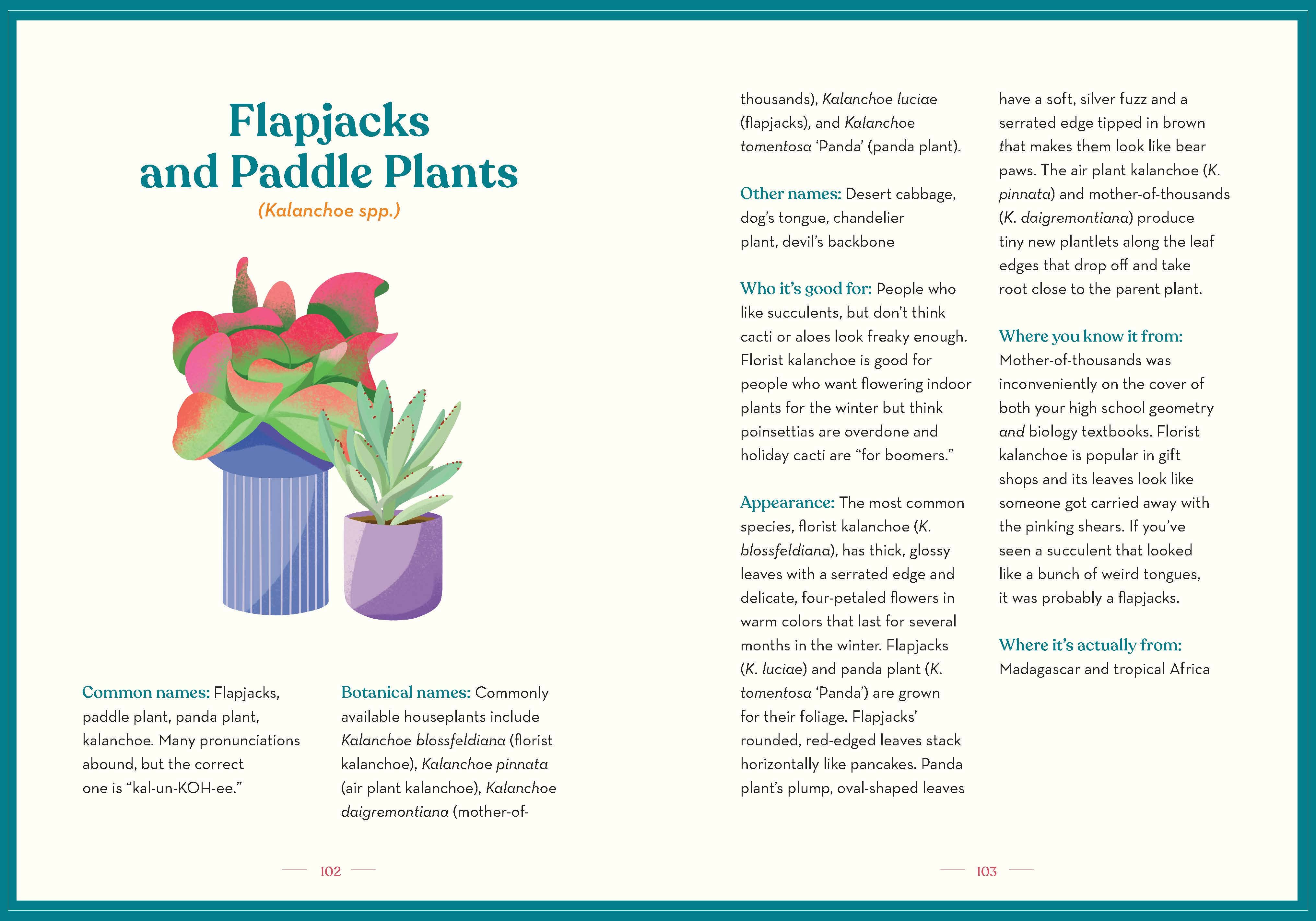 GREEN DUMB GUIDE TO HOUSEPLANTS