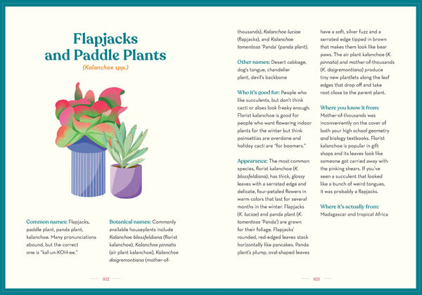 GREEN DUMB GUIDE TO HOUSEPLANTS