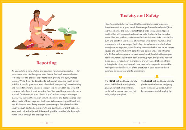 GREEN DUMB GUIDE TO HOUSEPLANTS