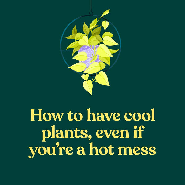 GREEN DUMB GUIDE TO HOUSEPLANTS