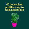 GREEN DUMB GUIDE TO HOUSEPLANTS