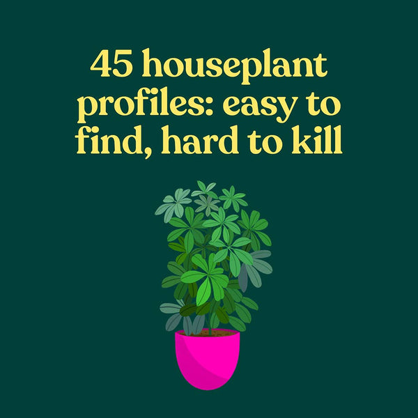 GREEN DUMB GUIDE TO HOUSEPLANTS