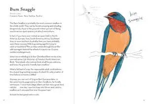 WORST BIRDS EVER A DUMB BIRDS FIELD GUIDE