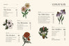 FLORAPHILE'S ALMANAC