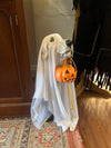 PLASTIC SKELETON DOG IN GHOST SHEET WITH LED JACK-O-LANTERN LIGHT (BATTERIES INCLUDED)