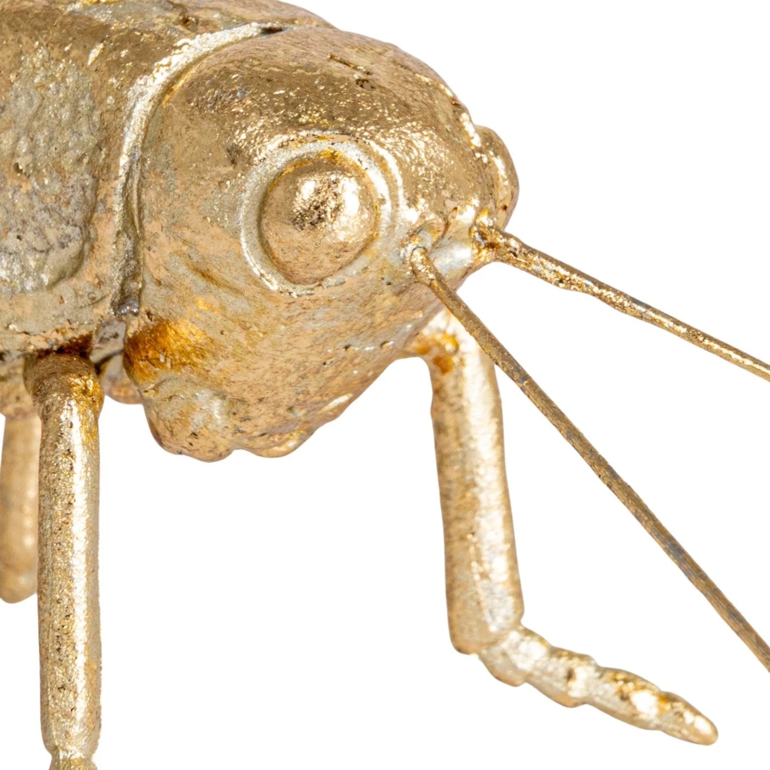 RESIN & METAL GRASSHOPPER, GOLD FINISH