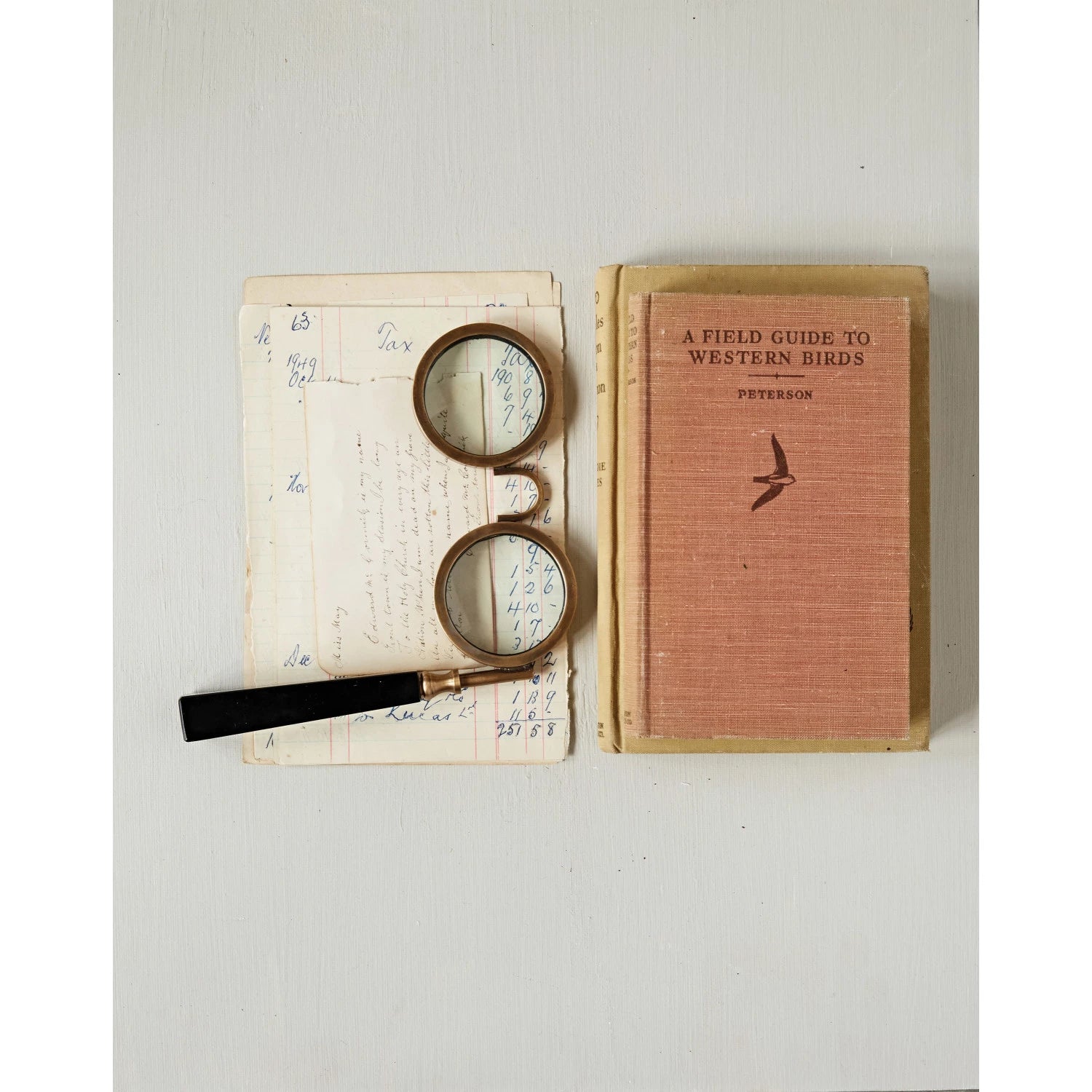 SPECTACLE MAGNIFYING GLASS