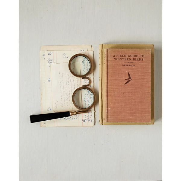 SPECTACLE MAGNIFYING GLASS