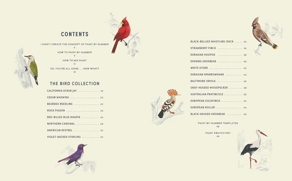 COLOREADY BIRDS PAINT-BY-NUMBER PRINTS BOOK