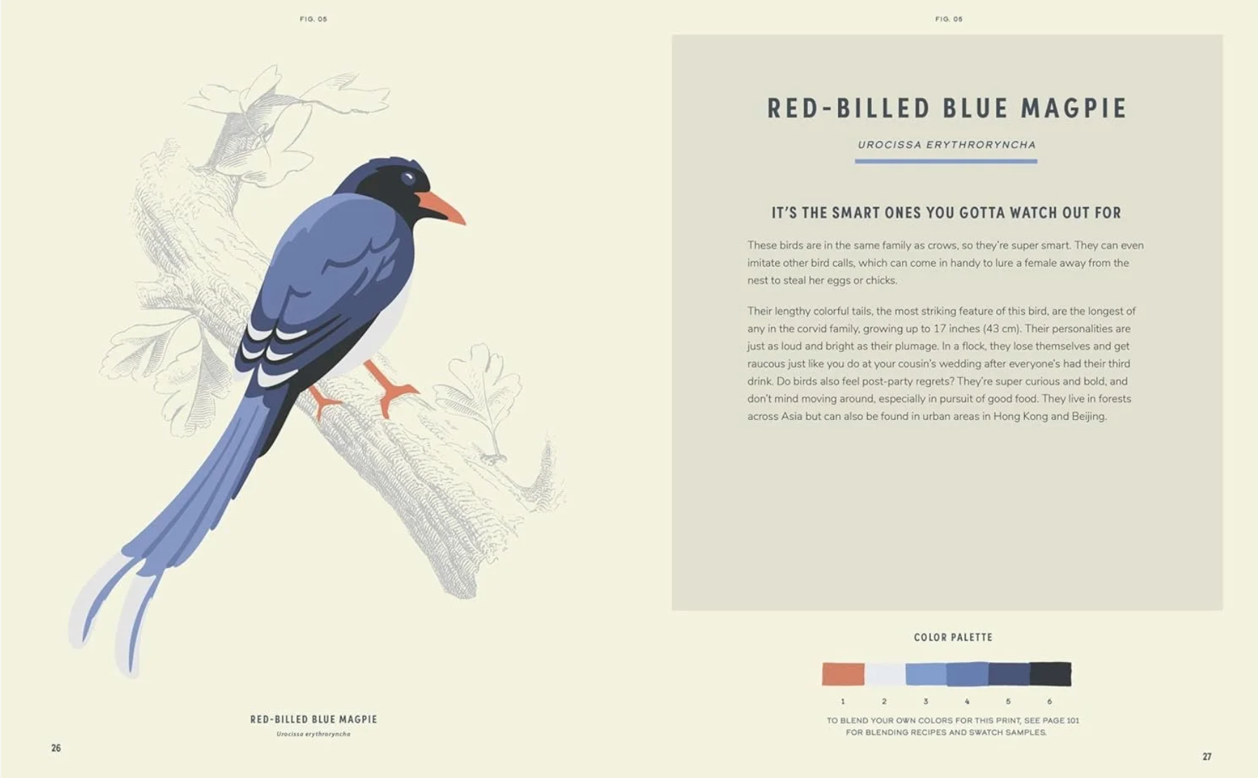 COLOREADY BIRDS PAINT-BY-NUMBER PRINTS BOOK